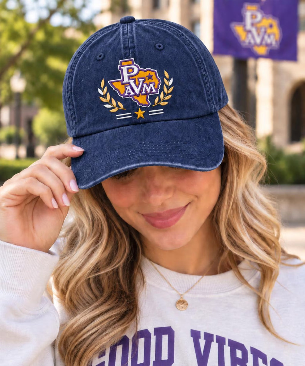 Vintage Embroidered Dad Hat, Collegiate Style Baseball Cap, Washed Cotton Cap, Texas Inspired Hat, Unisex Casual Gift