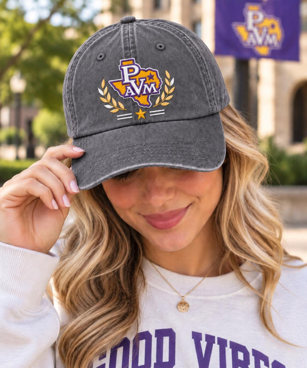 Vintage Embroidered Dad Hat, Collegiate Style Baseball Cap, Washed Cotton Cap, Texas Inspired Hat, Unisex Casual Gift