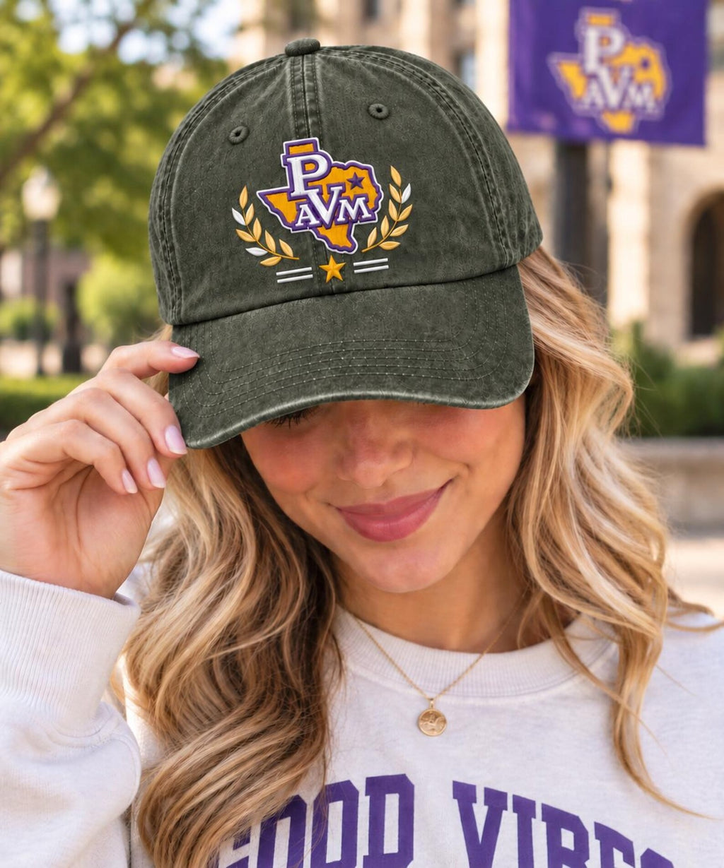 Vintage Embroidered Dad Hat, Collegiate Style Baseball Cap, Washed Cotton Cap, Texas Inspired Hat, Unisex Casual Gift